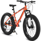 26 Inch Fat TireMountain Bike21Speed