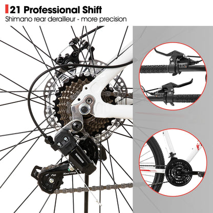 21 SpeedMountainBikeForWomen