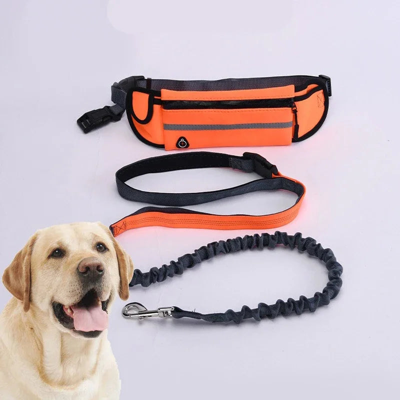 Hands Free Retractable, Reflective 










Hands Free Retractable, Reflective Dog Leash