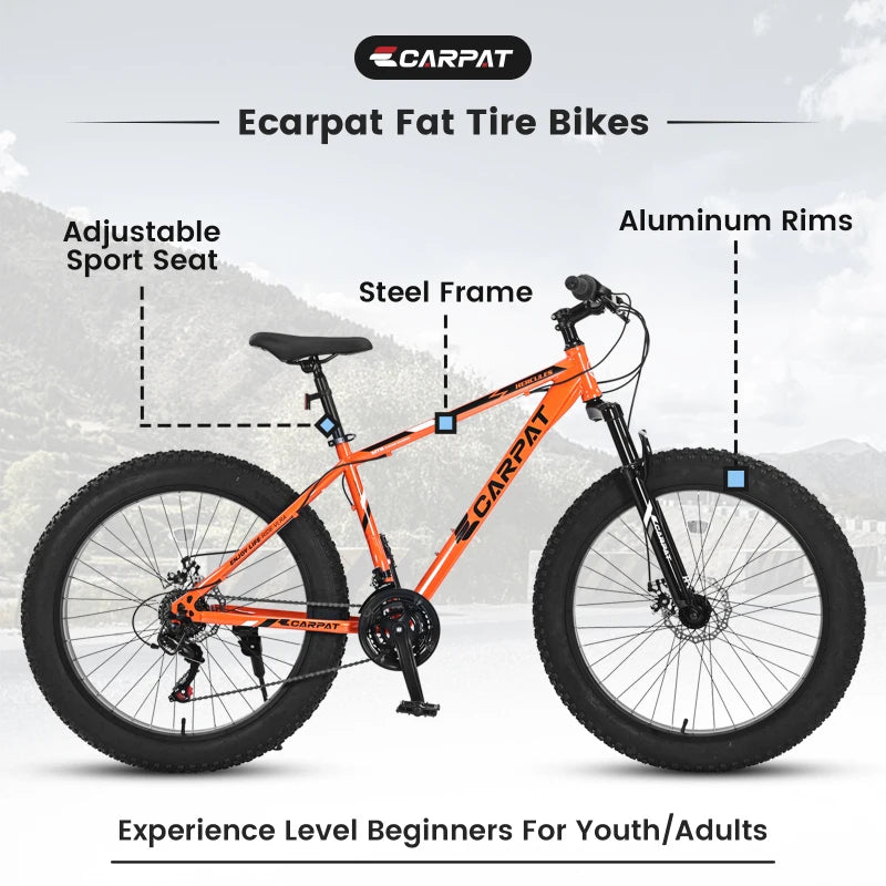 26 Inch Fat TireMountain Bike21Speed