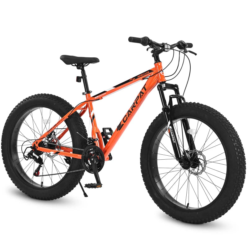 26 Inch Fat TireMountain Bike21Speed