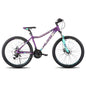 21 SpeedMountainBikeForWomen