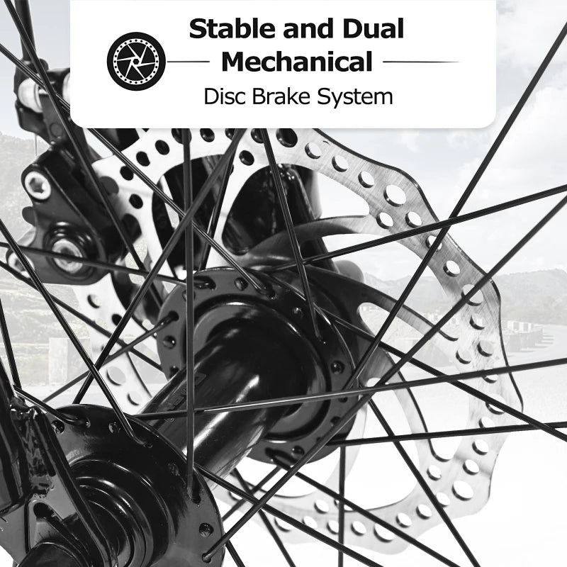 26 Inch Fat TireMountain Bike21Speed