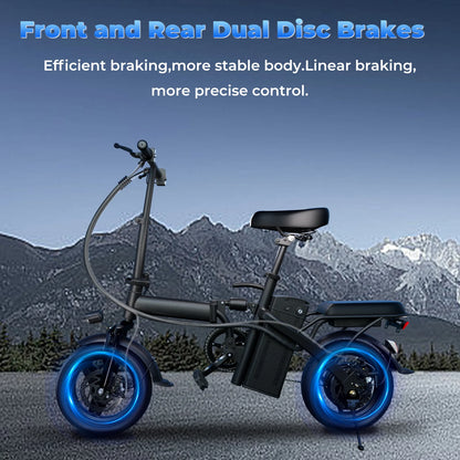 Adult Electric Bike 20 MPH Removable Battery Folding